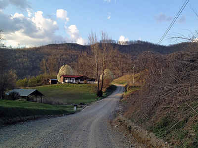 Tennessee Landscape