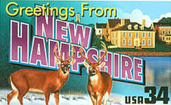New Hampshire Greeting: Two male white-tailed deer, a species common in New Hampshire and other parts of the Eastern Seaboard, face the viewer in the foreground. At the rear are buildings in the city of Portsmouth