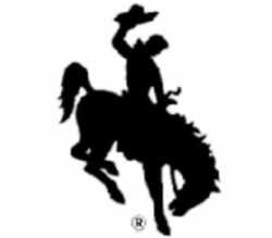 Wyoming State Bucking Horse and Rider: (BH&R)